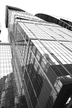 Modern gökdelenler bölge