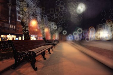kış gece parkta