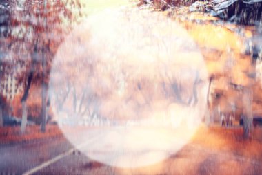 Sonbahar manzara bulanık