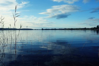 Sonbahar orman nehir manzara