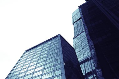 Modern gökdelenler bölge