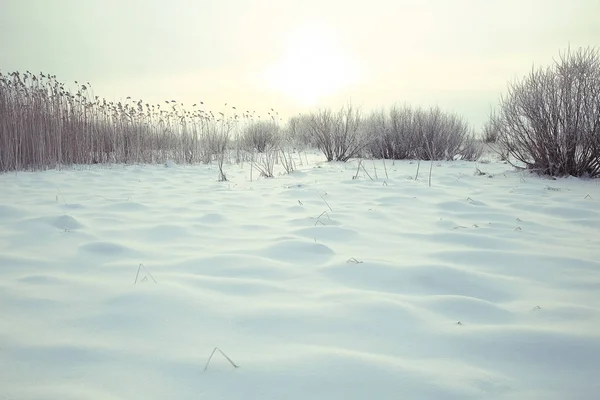 Snö i vinterlandskapet — Stockfoto