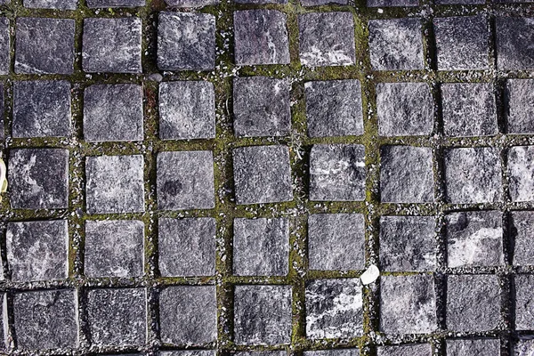 石畳のタイルのテクスチャ — ストック写真