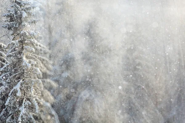 Paisaje de invierno con copos de nieve — Foto de Stock