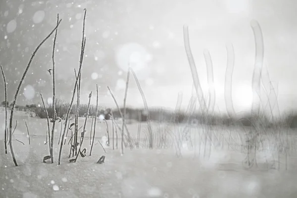 Campo di neve paesaggio — Foto Stock