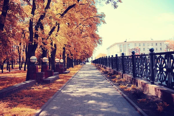 Autumn in the city park — Stock Photo, Image