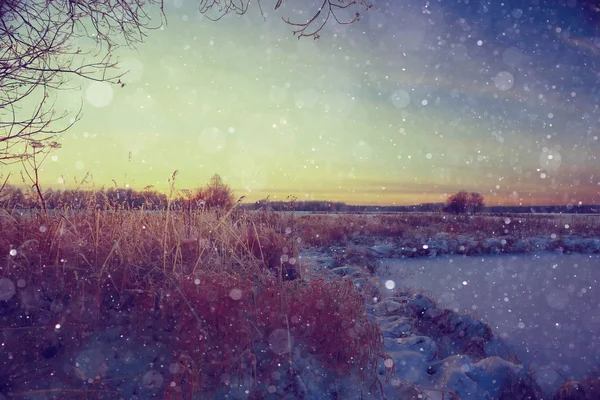 Winter landscape with snowflakes — Stock Photo, Image