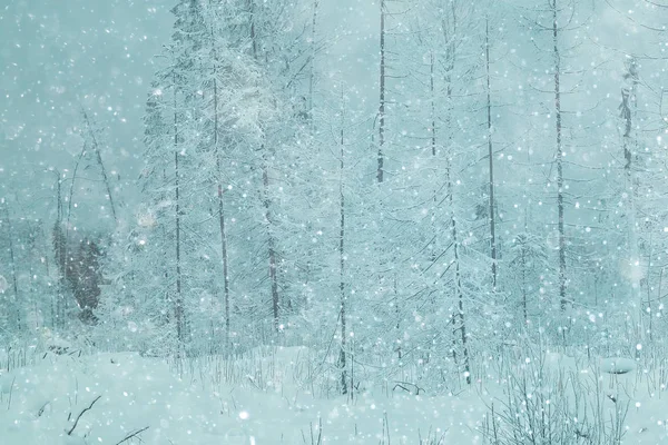 Inverno nevado paisagem — Fotografia de Stock