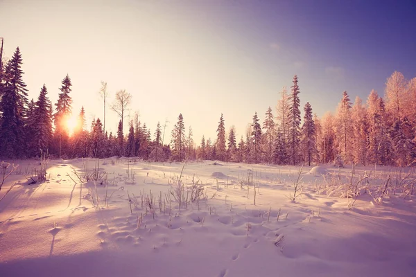 Winterliche Schneelandschaft — Stockfoto