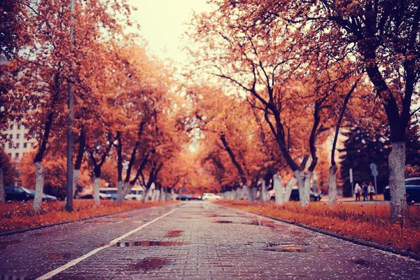 Şehir parkında sonbahar — Stok fotoğraf