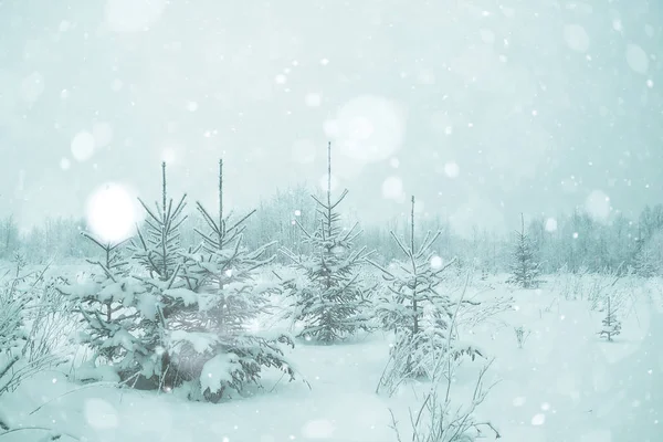 雪に覆われた冬の風景 — ストック写真