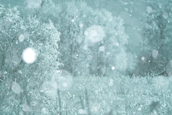 Nevado paisaje de invierno —  Fotos de Stock