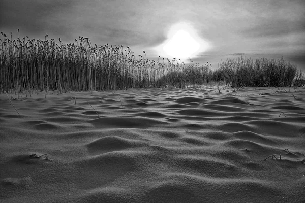 Karlı kış kırsal manzara — Stok fotoğraf