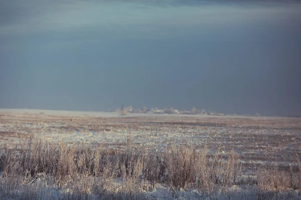 Neve nel paesaggio invernale — Foto Stock