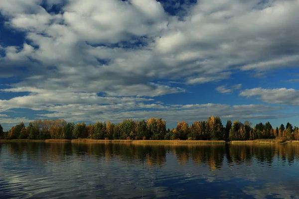 Autumn Forest river landscape — Stock Photo, Image