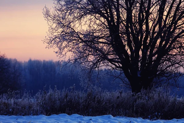 Зимовий пейзаж ніч — стокове фото