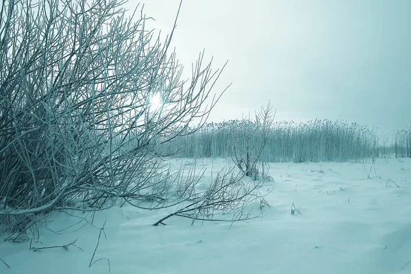 Snö i vinterlandskapet — Stockfoto