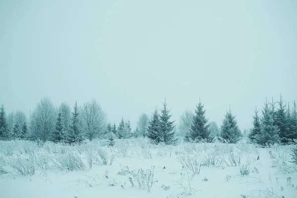 나무와 서리가 내린 풍경 — 스톡 사진