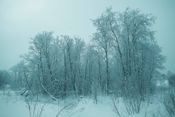 Frosty landscape with trees on winter time, nature background
