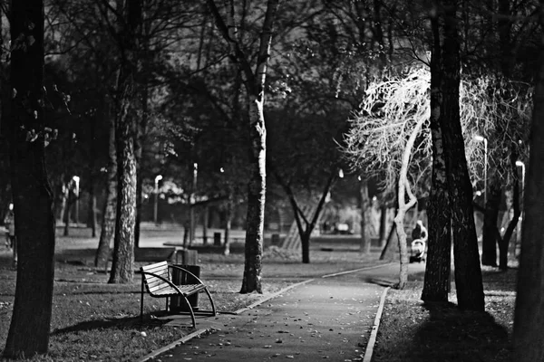 Allee im Herbstpark — Stockfoto