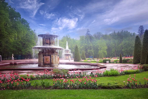 Pintoresco parque Peterhof —  Fotos de Stock