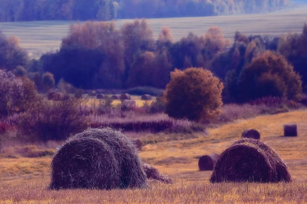 Krajobraz Stogi w polu — Zdjęcie stockowe