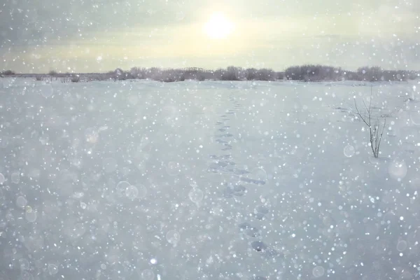 Neve na paisagem de inverno — Fotografia de Stock