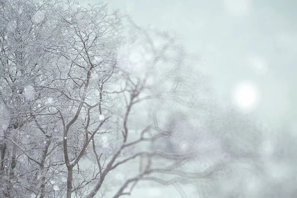 Gloomy snowy winter — Stock Photo, Image