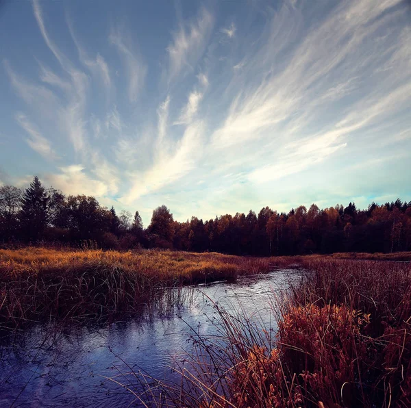 Herfst boslandschap rivier — Stockfoto