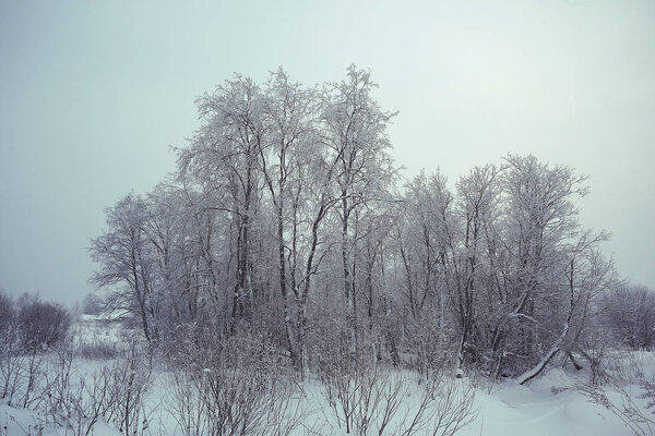 Beautiful Winter landscape in Russia
