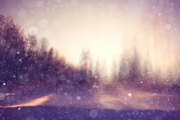 하루에 밝은 겨울 풍경 — 스톡 사진