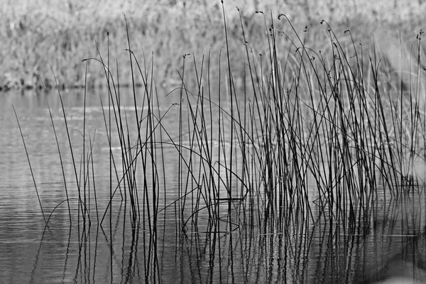 Wazig herfst landschap — Stockfoto