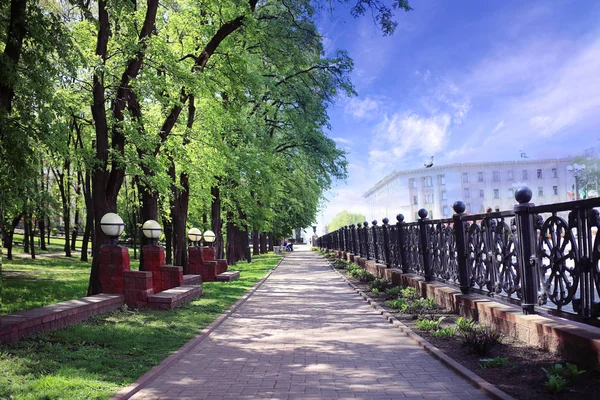 Allee im Frühlingspark — Stockfoto