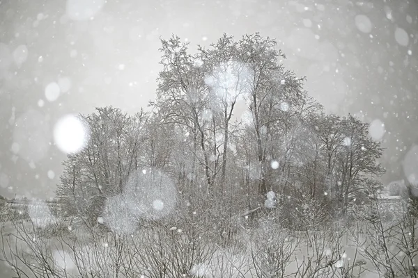 Frostige Landschaft mit Bäumen — Stockfoto