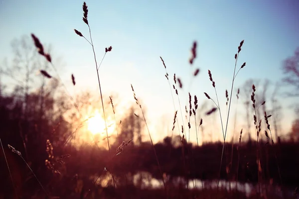 Autumn Forest river landscape — Stock Photo, Image