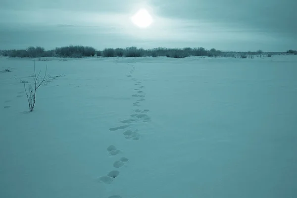 Tracks op besneeuwde winter weg — Stockfoto