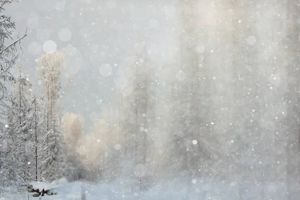 Zimní krajina s sněhové vločky — Stock fotografie