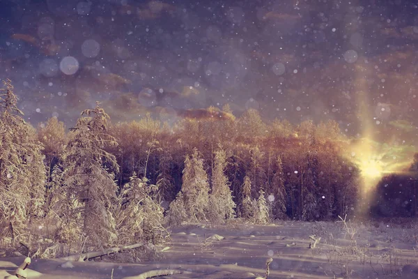 令人惊叹的冬季风景 — 图库照片