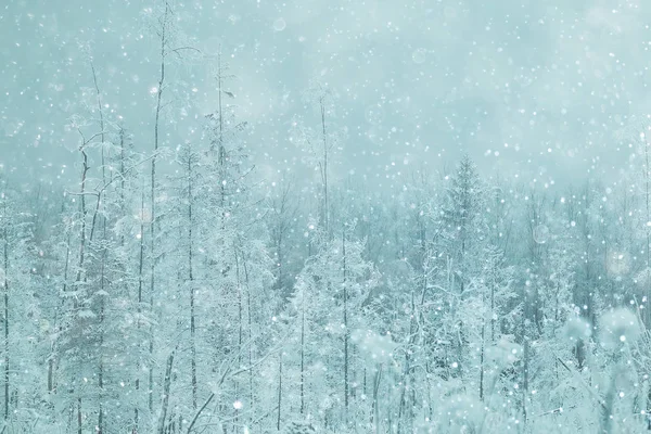 Snöiga vinterlandskap — Stockfoto