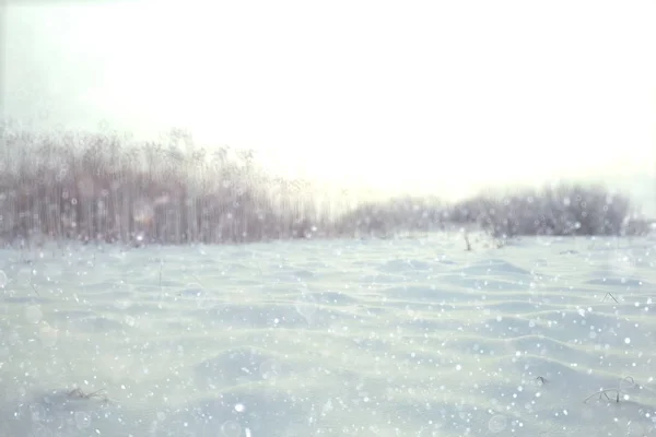 Campo di neve paesaggio — Foto Stock