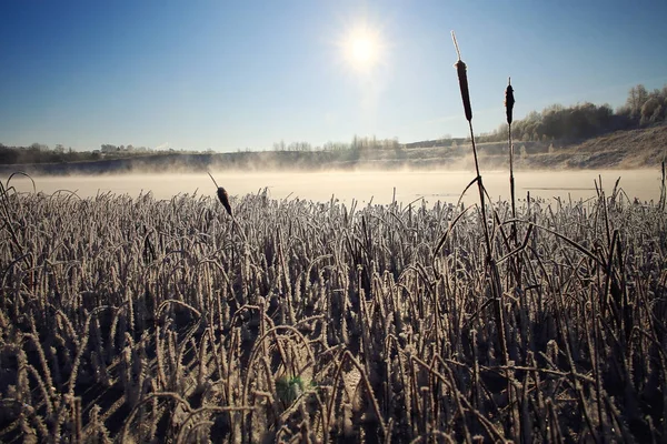 Vinter natur i frost — Stockfoto