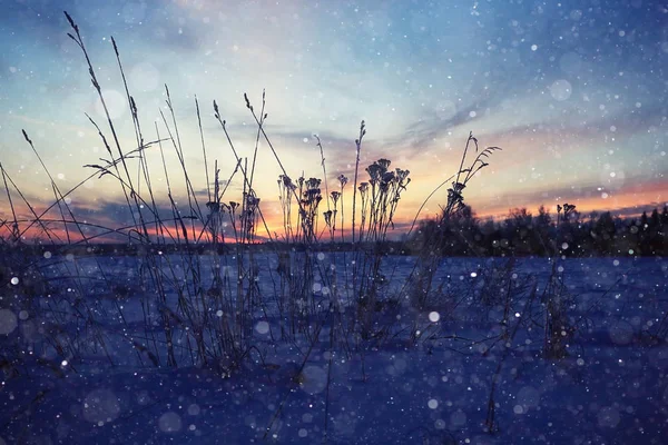 乡村的冬季景观 — 图库照片