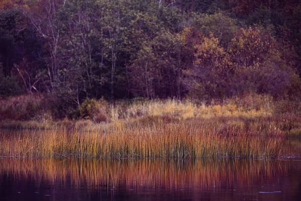 Το φθινόπωρο του ποτάμιου τοπίου — Φωτογραφία Αρχείου