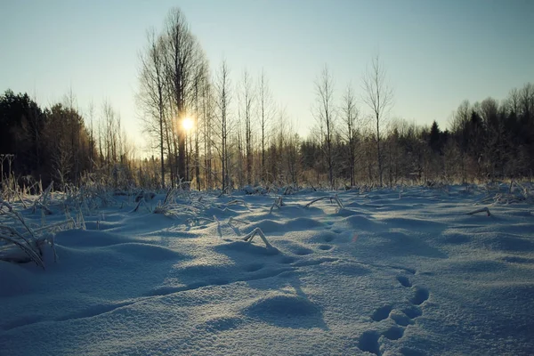 Inverno paesaggio innevato — Foto Stock