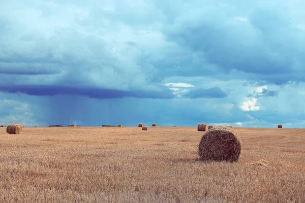 Paisaje de pajar en un campo — Foto de Stock