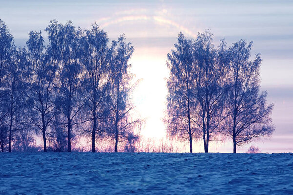 amazing winter landscape