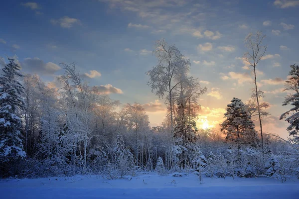 Frostig vinter morgon natur — Stockfoto