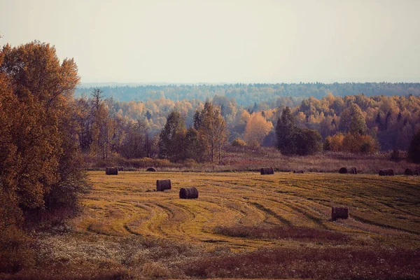 Paisaje de pajar en un campo — Foto de Stock