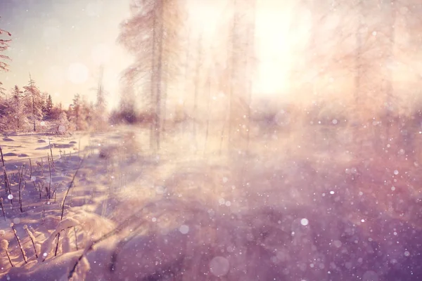 하루에 밝은 겨울 풍경 — 스톡 사진