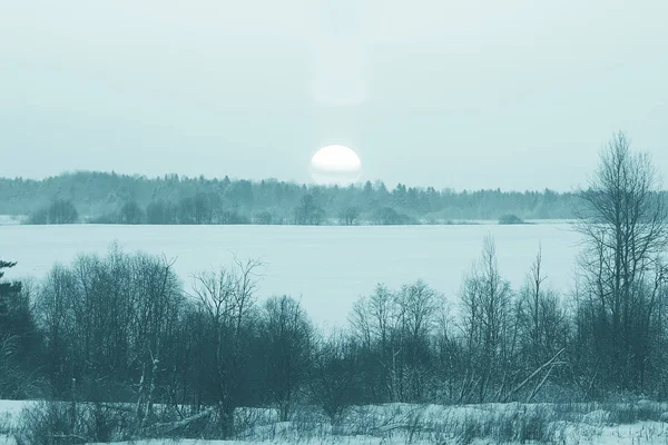 Frostiga landskap med träd — Stockfoto